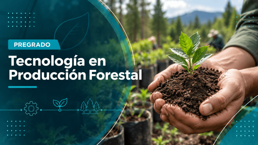 Programa Tecnología en Producción Forestal