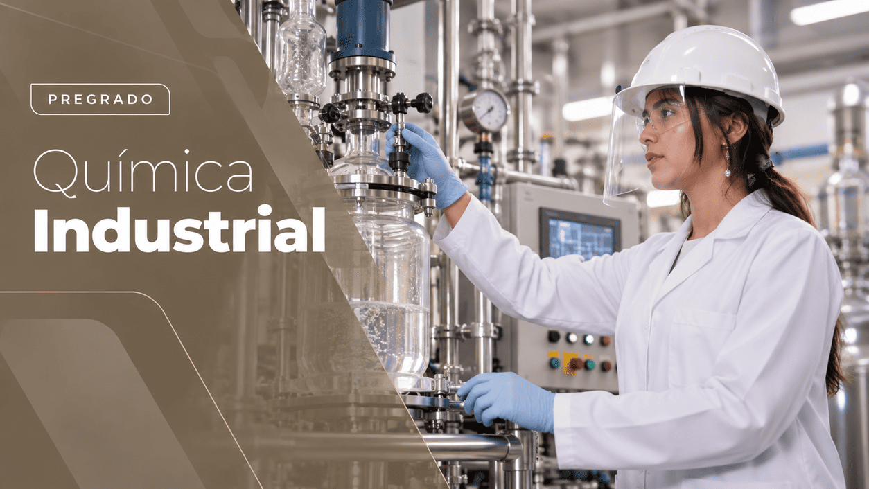 Programa Química Industrial