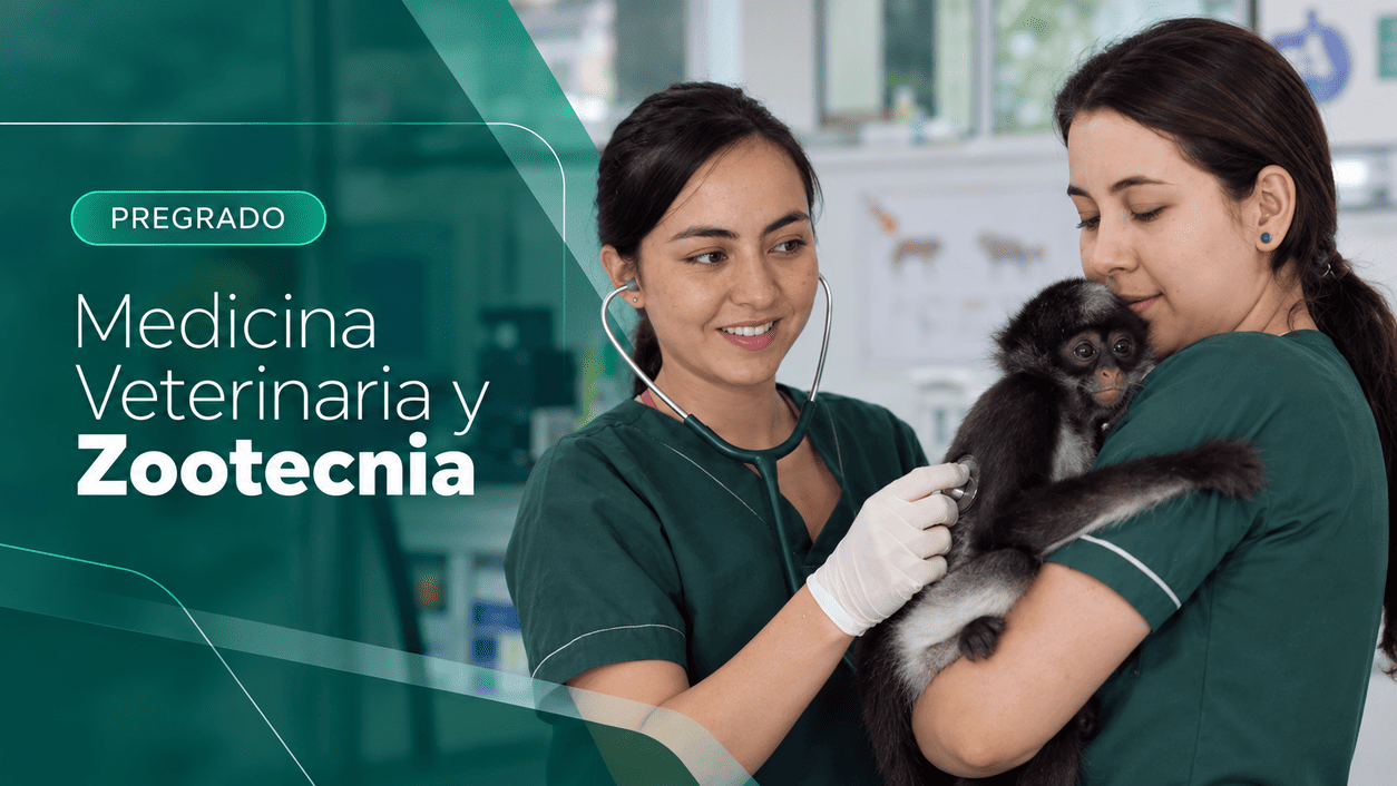 Programa Medicina Veterinaria y Zootecnia